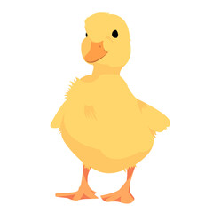little duck illustration cartoon