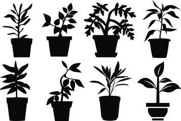 Fototapeta na wymiar Set of plants in pots. Set of potted plant silhouettes. Black and white potted plants. Potted plant vectors isolated.