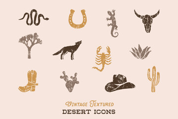 Desert Icons Set with Vintage Texture - 627113487