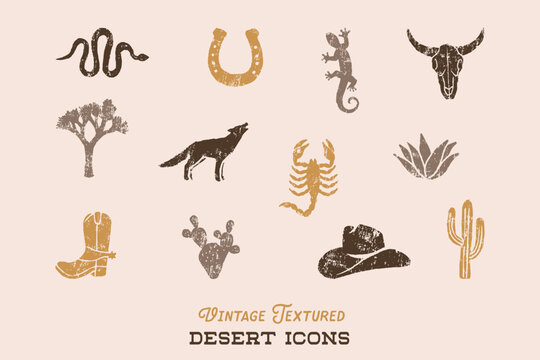 Desert Icons Set with Vintage Texture