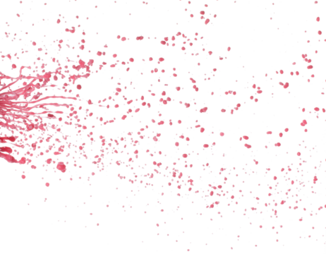 Red tomato strawberry juice scatter splash in drop droplet, Red blood wave fall in air. Abstract cloud fly, Red Wine colored splash spill in Air. White background Isolated high speed shutter, freeze