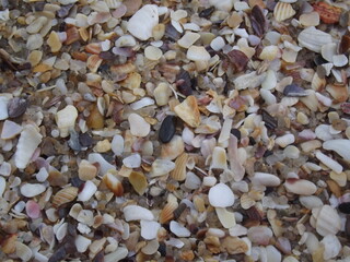Areia