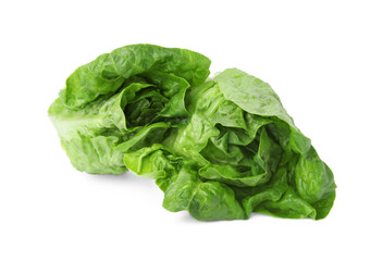 Fototapeta premium Fresh green romaine lettuces isolated on white