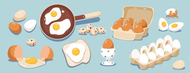 Set of different eggs vector