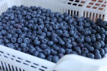 Box of fresh blueberries, closeup. Seasonal berries