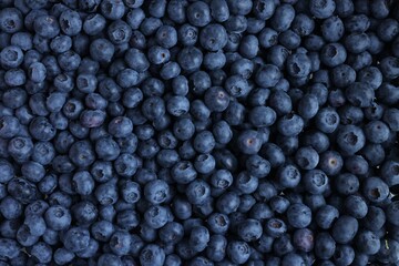 Fresh tasty blueberries as background, top view
