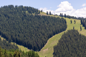 Ski Runs on Vail Mountain in Colorado, Ski Runs During Summer, Hiking Ski Runs on Off-Season