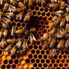 Bees. Generative AI