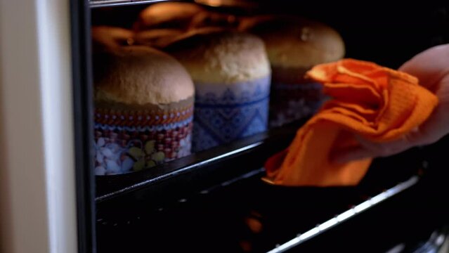 Chef Opens Oven and Takes Out a Lot of Ruddy Easter Cakes in the Baking Dish. Parchment paper form. Cooking bread, pastries, buns in home kitchen in a hot oven on a baking sheet. Close up. Easter.