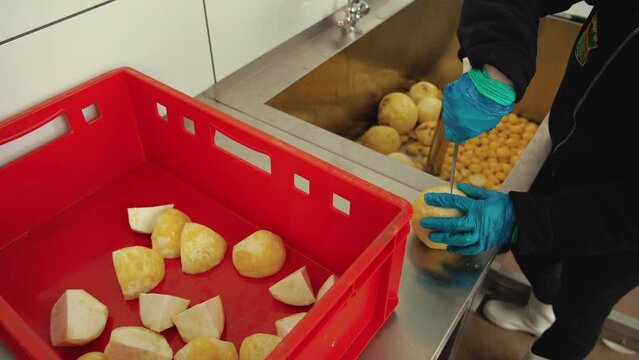 Medium closeup shot of farm worker processing celery roots. Male hands in protective gloves slicing celery roots in vegetable factory. High quality 4k footage