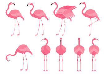 Fototapeta premium 色々なポーズのフラミンゴのイラストのセット 