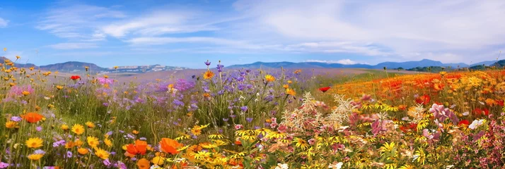 Poster   beautiful wild field with flowers ,blue sky and mountains on horizon,nature landscape © Aleksandr