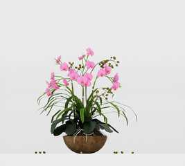 Purple orchids planted in a pot on white background, 3d render
