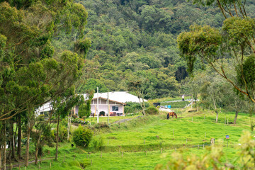 house in the countryside in the mountains of santa elena in medellin colombia