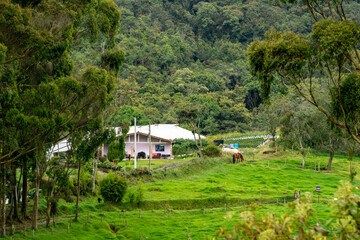 Fototapeta na wymiar house in the countryside in the mountains of santa elena in medellin colombia