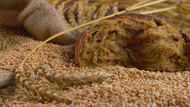 Eco whole grain fall, rural scene. Growth nature harvest or natural product concept. Agricultural activity. Agronomy at farmland in summer time