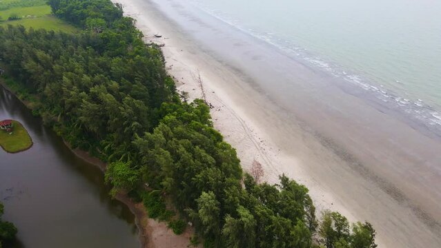 A slow drone shot of the Tamarisk grove along Kuakata Sea Beach in Bangladesh