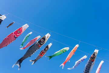 青空を泳ぐ鯉のぼり