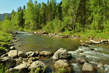 Fototapeta na wymiar A small mountain river flows through the forest, skirting the rocks in its course on a warm summer day.