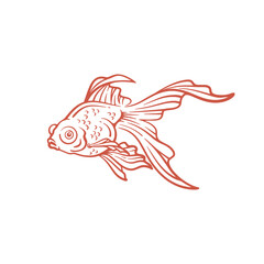 Hand drawn goldfish line art. Goldfish vector illustration