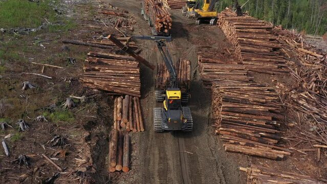 Forestry Economics Unveiled: Forwarder Stockpiling Log