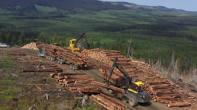 Efficient Timber Handling: Aerial View of Forwarder at Work