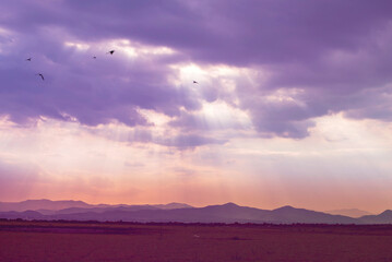 Violet purple sky in morning scenery Vibrant colorful blue sky summer time on sunrise. Natural beautiful landscape. Beauty purple sky romantic dramatic landscape cloudy outdoor paradise in sunset