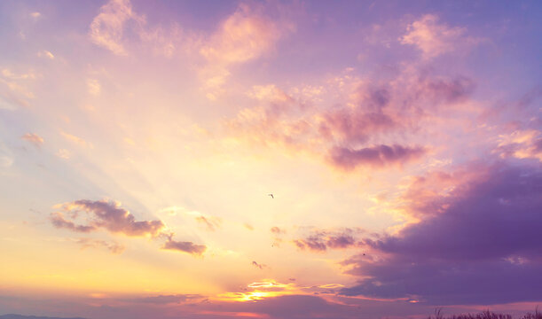Violet purple sky in morning scenery Vibrant colorful blue sky summer time on sunrise. Natural beautiful landscape. Beauty purple sky romantic dramatic landscape cloudy outdoor paradise in sunset
