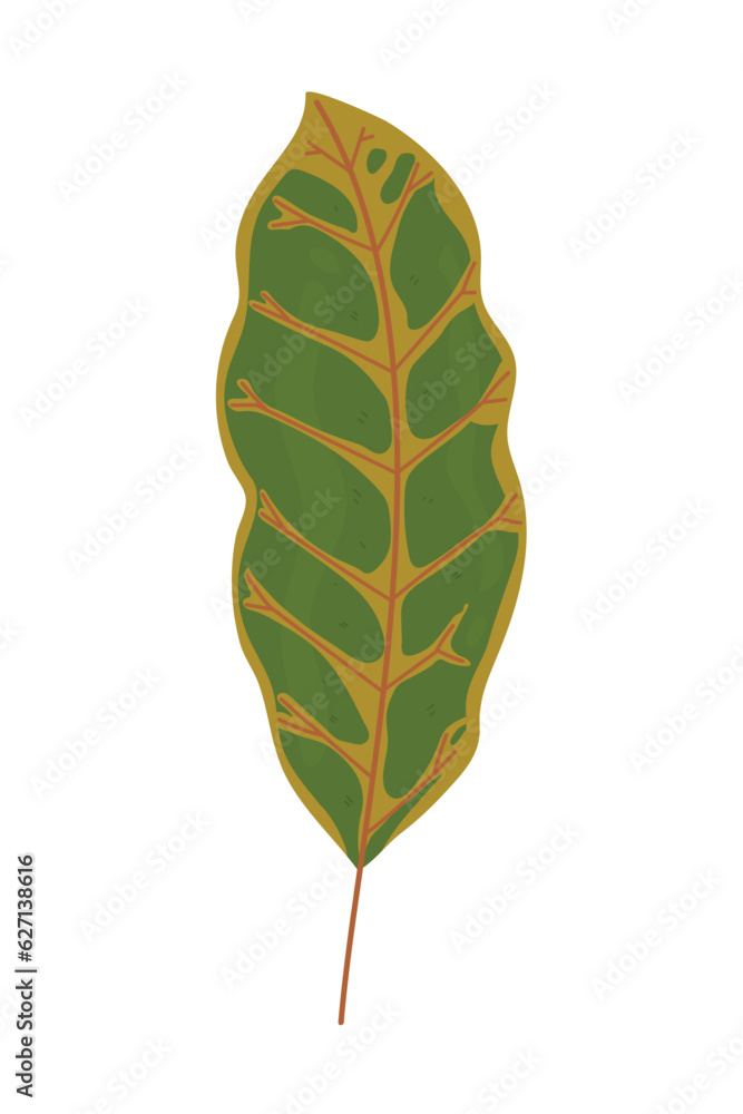 Sticker green leaf nature icon design