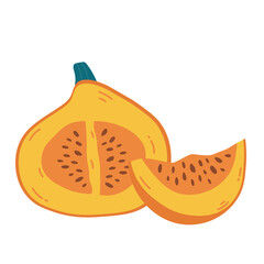 Half and slice of orange ripe pumpkin with seeds