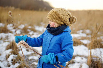 Cute preschool boy is playing on the ice of a frozen lake or river on a cold sunny winter sunset....