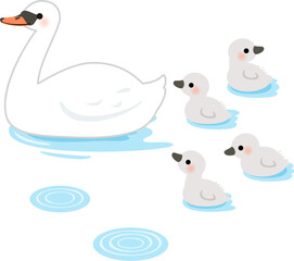 水面にいる白鳥の親鳥とヒナ © logistock