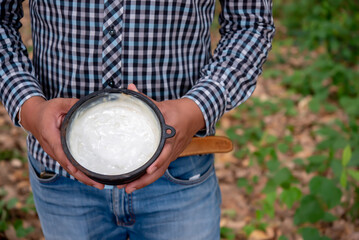 Rubber farmer stood proudly showcasing the full cup of rubber liquid that would be transformed into essential products.