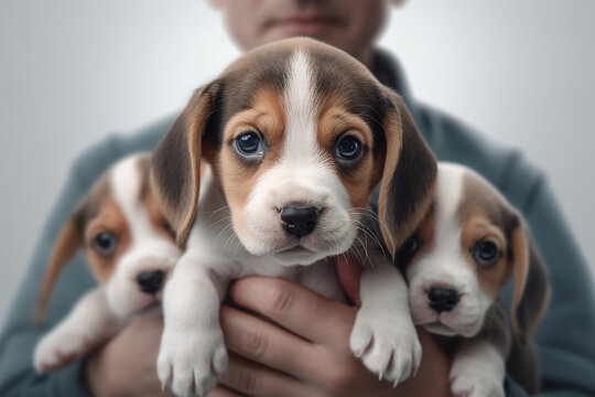 A man holding 3 puppies in his arms 