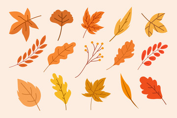 Fototapeta premium autumn leaves collection vector