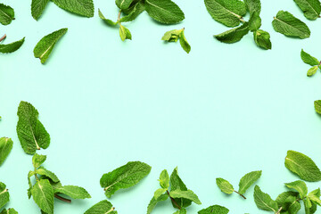 Frame made of fresh mint leaves on color background © Pixel-Shot