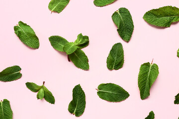 Composition with fresh mint leaves on pink background