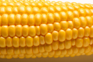 Fresh corn cob on white background, closeup