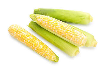 Fresh corn cobs on white background