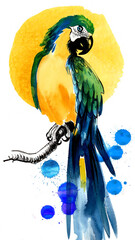Parrot sitting on a branch. Hand-drawn ink and watercolor with splatters on paper