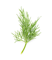 Naklejka premium Fresh dill on white background