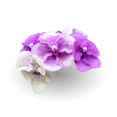 Royal Purple Brunfelsia flower isolated on white background, purple, violet, wildflowers, exotic.