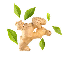 Flying fresh ginger root and leaves on white background