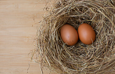 Two chicken eggs in a nest placed on a wooden floor spaced copy space.