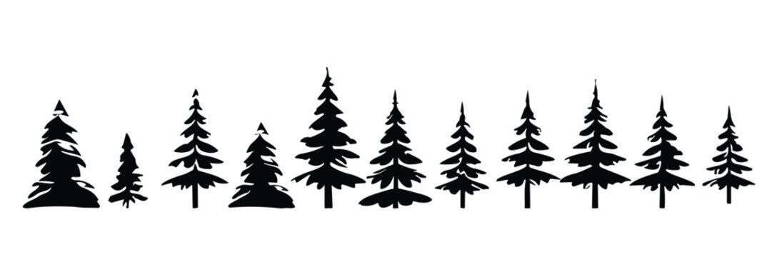 Set of pine tree silhouette, vector spruce tree, ink plant sketch, hand drawing, black silhouette