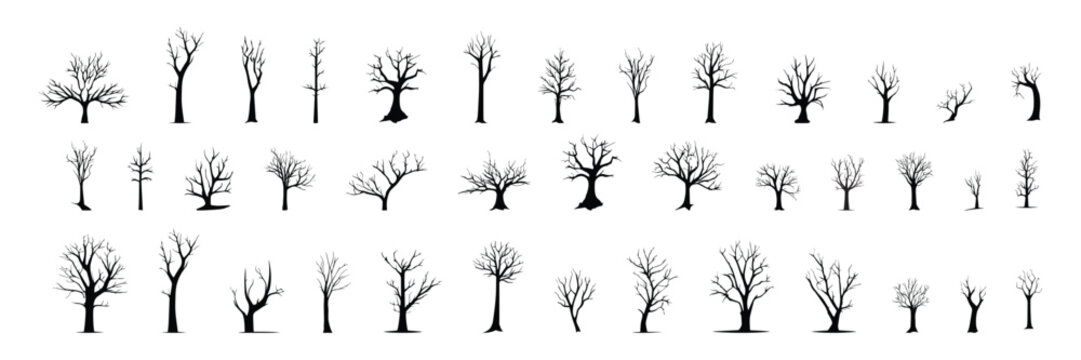 Silhouette Dead Tree without Leaves Set. Large collection Scary trees for Halloween decoration. Creepy tree. Vector illustration.