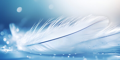 Fototapeta na wymiar Soft Pastel Blue Background with a White Feather Glimmering Light Effects on Blue Background