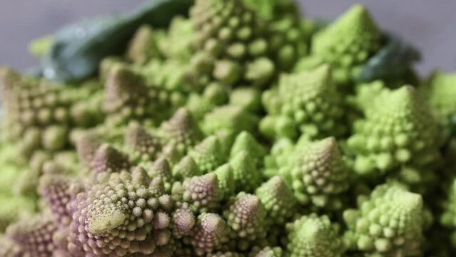 Romanesco broccoli macro mooving away, ftp 100 motion.