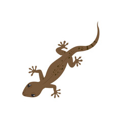 Small and cute lizard reptile illustration. simple hand drawn style illustration