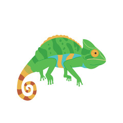 Color changing chameleon reptile illustration. simple hand drawn style illustration